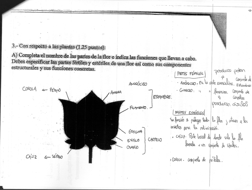 Miniatura del documento bio6.jpg