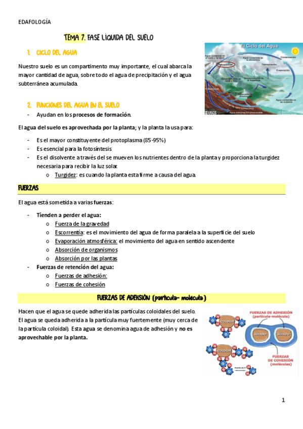 Miniatura del documento TEMA-7.-Fase-liquida-del-suelo.pdf