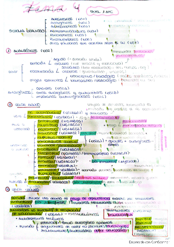 Miniatura del documento Apuntes-tema-4-farmacologia.pdf