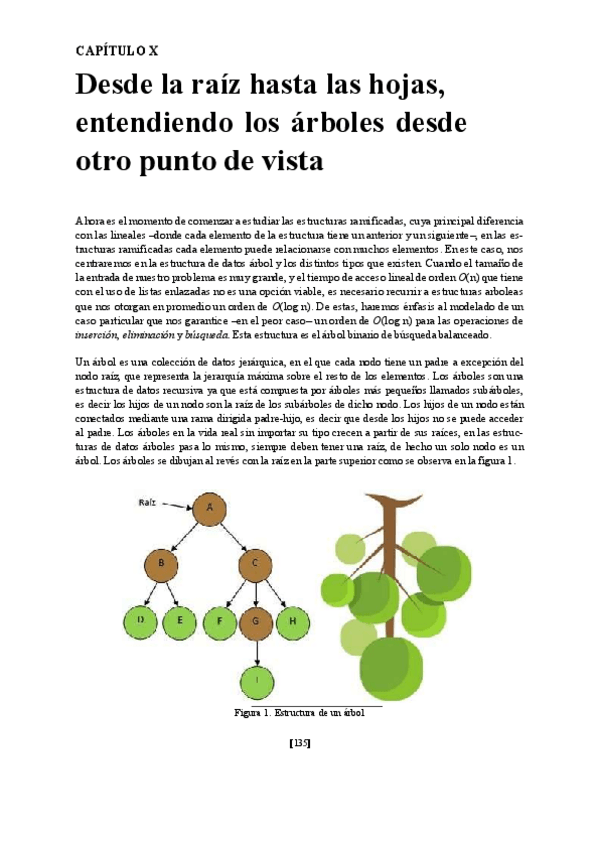 Miniatura del documento Arboles-y-Grafos.pdf