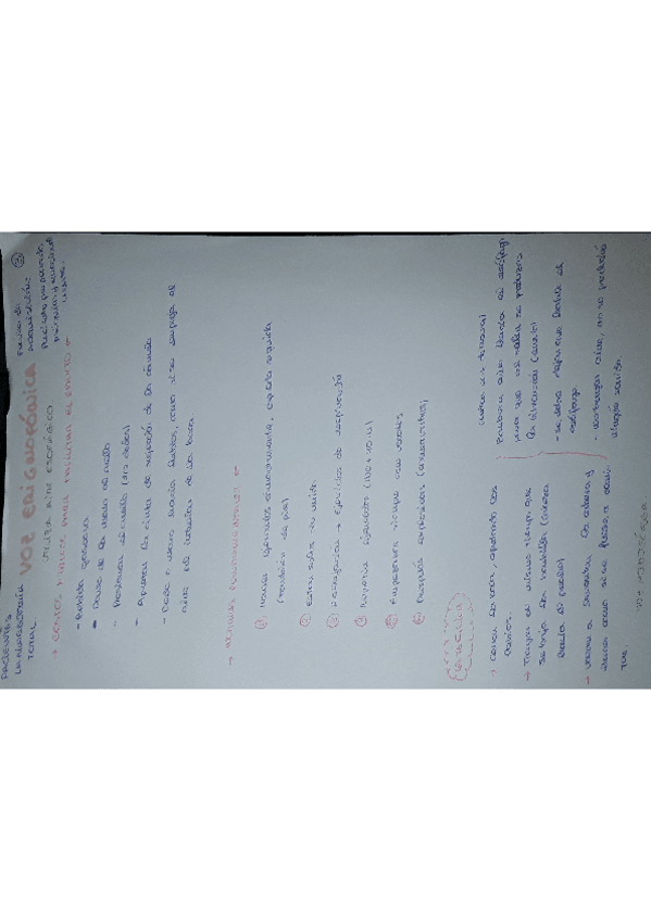 Miniatura del documento 0_PATOLOGÍA DE LA VOZ.pdf