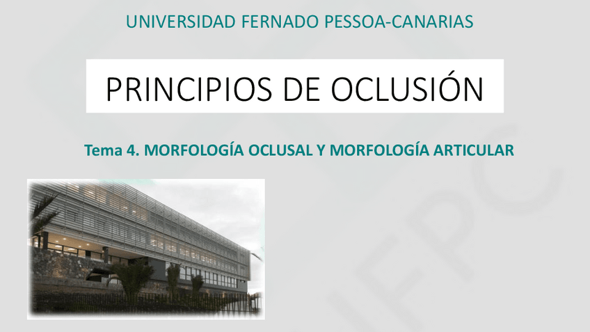 Miniatura del documento TEMA-4.-Morfologia-oclusal-y-Morfologia-articular.pdf