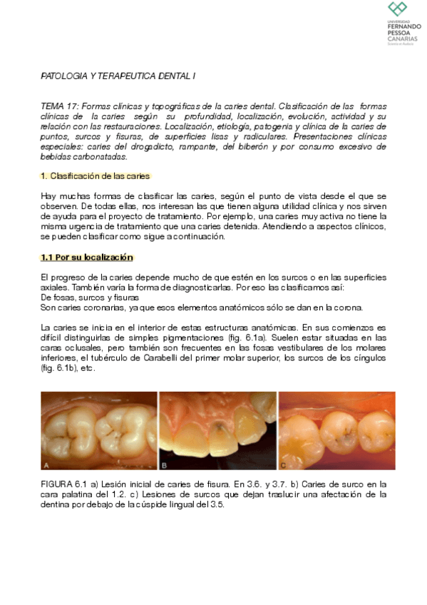 Miniatura del documento Tema-17..pdf