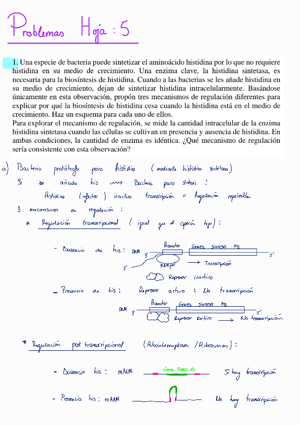 Miniatura del documento Problemas-hoja-5-detallados250104103643.pdf