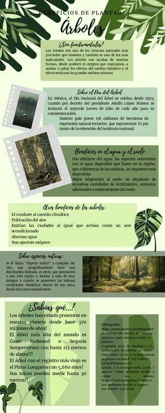 Miniatura del documento Infografia-Cuidado-del-ambienteplantar-arboles.pdf