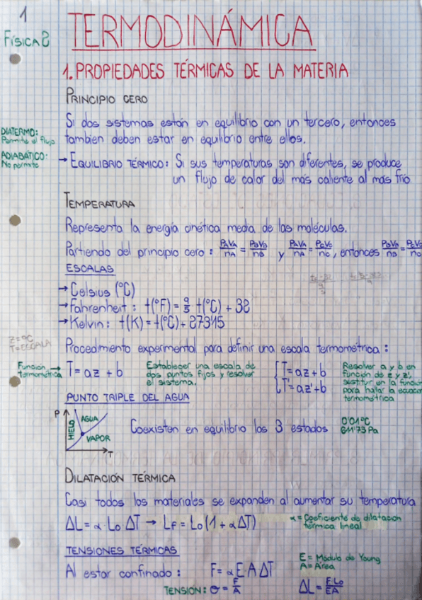 Miniatura del documento Teoria-Termodinamica.pdf