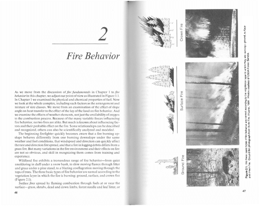 Miniatura del documento Pyneetal1996Ch2ocr.pdf