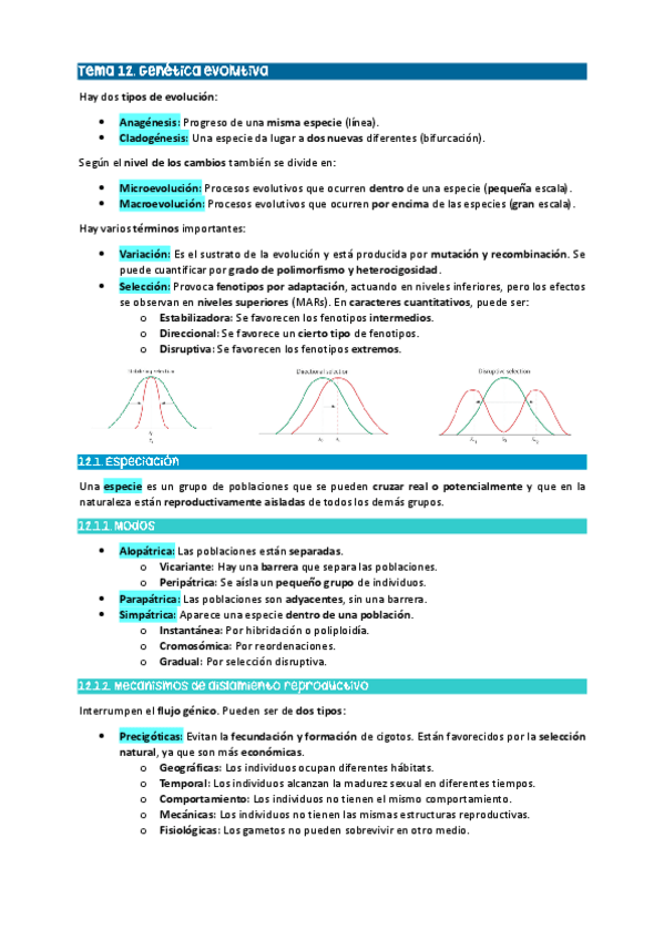 Miniatura del documento Tema-12.-Genetica-evolutiva.pdf