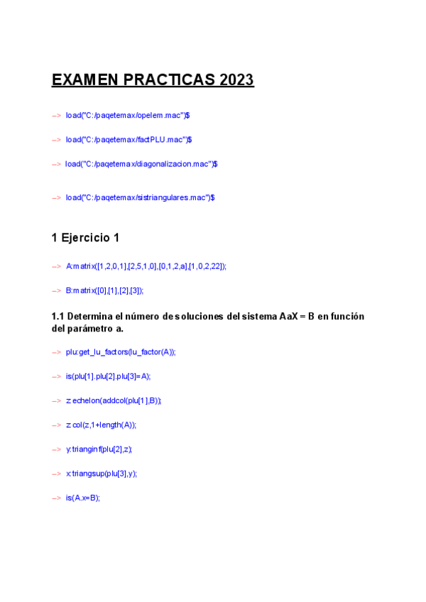 Miniatura del documento EXAMEN-MAXIMA-2023-RESUELTO.pdf