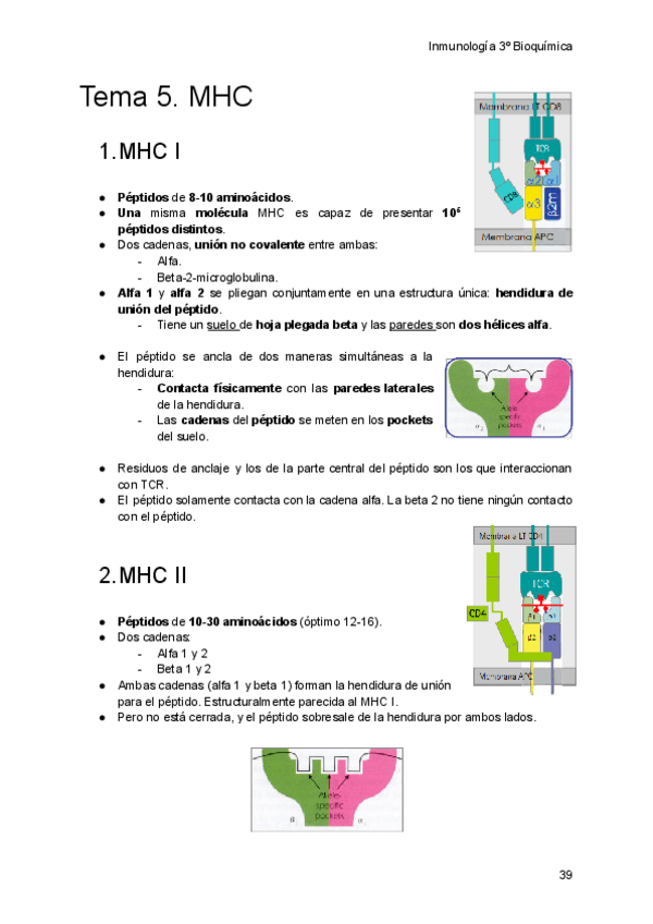 Miniatura del documento Tema-5.-MHC.pdf
