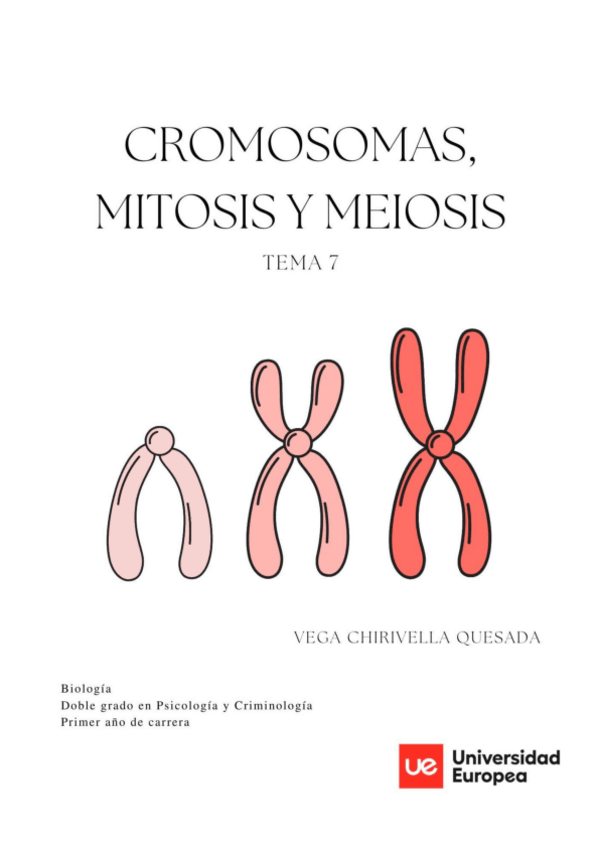 Miniatura del documento TEMA-7-CROMOSOMAS-MITOSIS-Y-MEIOSIS.pdf