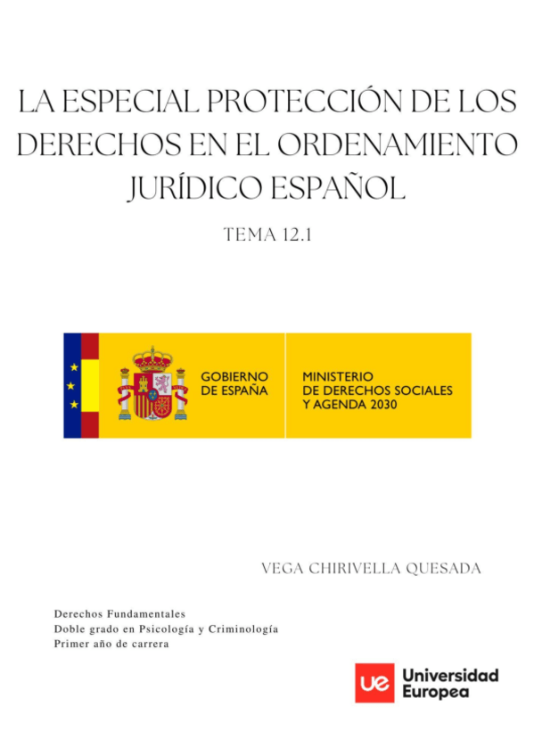 Miniatura del documento TEMA-12.1-ESPECIAL-PROTECCION-DE-LOS-DERECHOS-EN-EL-ORDENAMIENTO-JURIDICO-ESPANOL.pdf