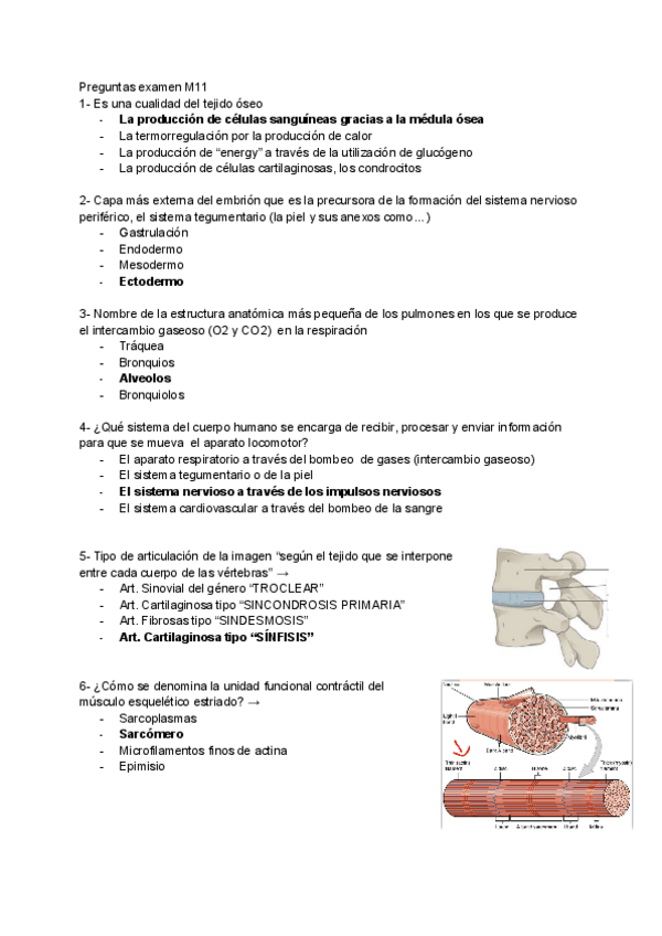 Miniatura del documento Preguntas-examen-M11.pdf