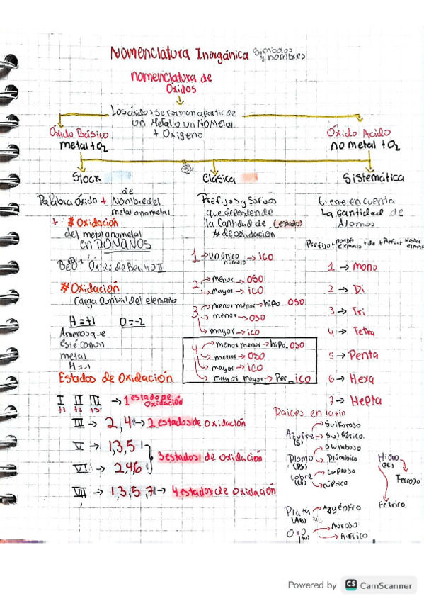 Miniatura del documento nomenclatura-de-oxidos-hidroxido-acidos-y-sales-1.pdf
