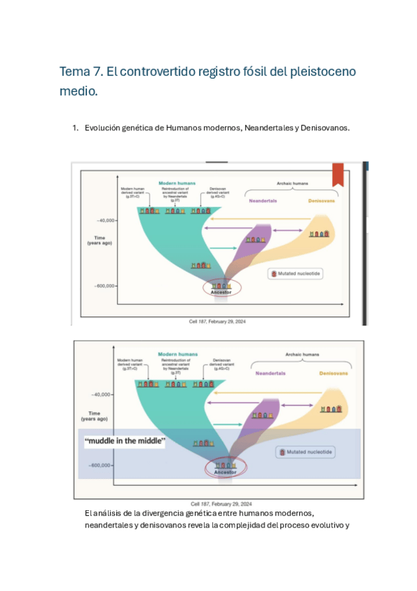 Miniatura del documento Prehistoria-I-Tema-7.pdf