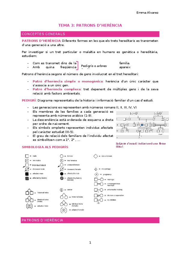 Miniatura del documento TEMA-3-TEMA-4-TEMA-5-TEMA-6.docx