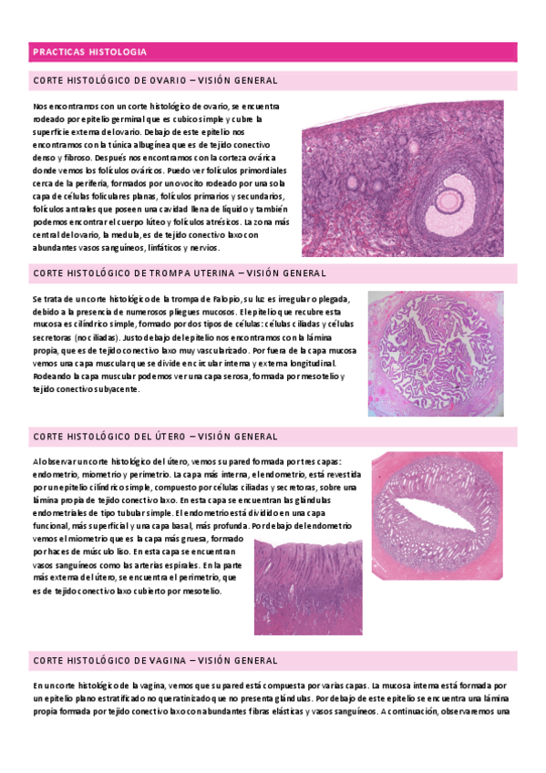 Miniatura del documento PRACTICAS-HISTOLOGIA.pdf