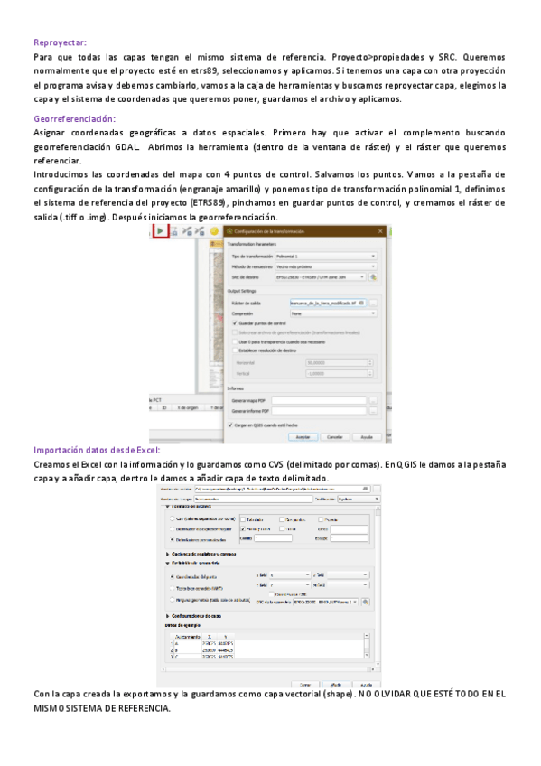 Miniatura del documento APUNTES-QGIS.pdf