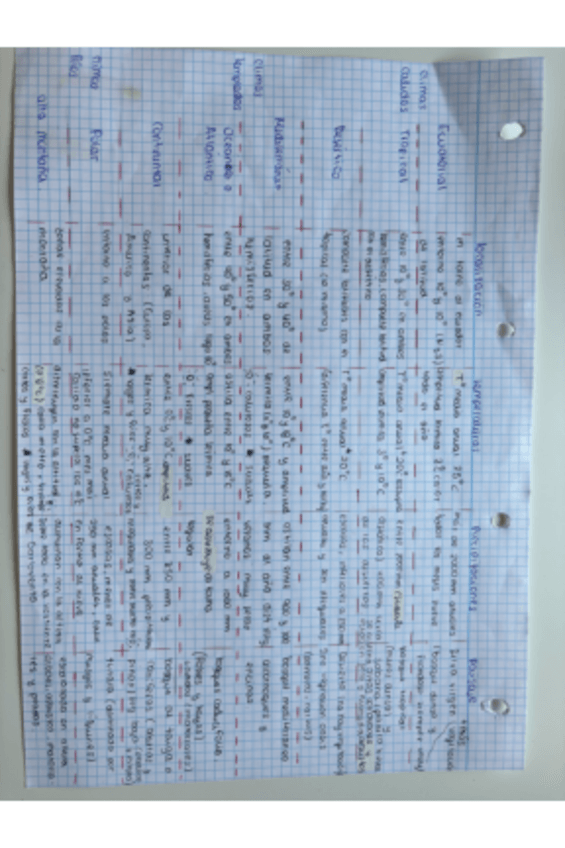 Miniatura del documento Foto-3.pdf