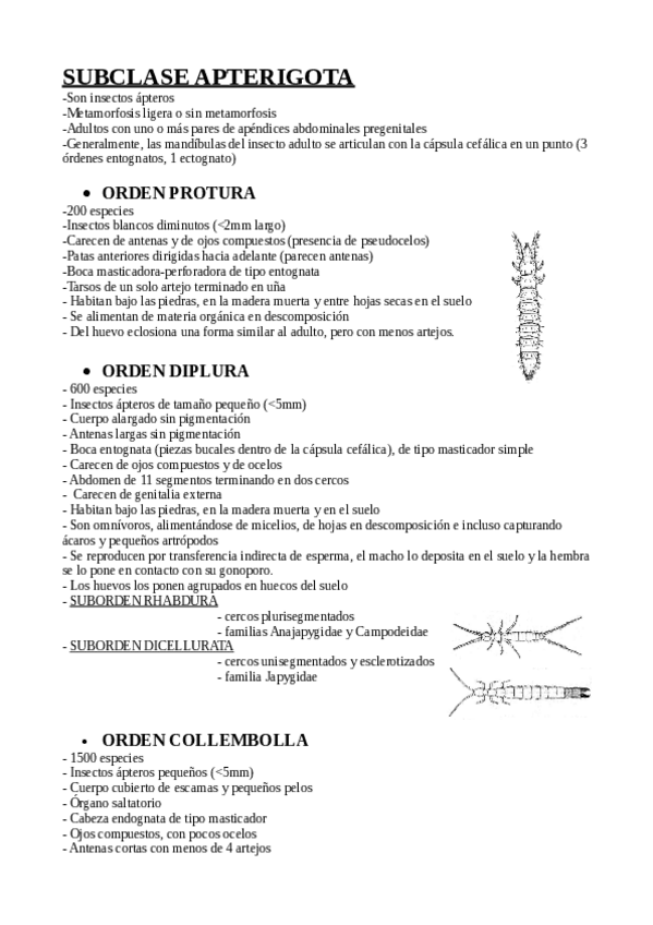 Miniatura del documento APUNTES-SUBCLASE-APTERIGOTA-INSECTOS.pdf