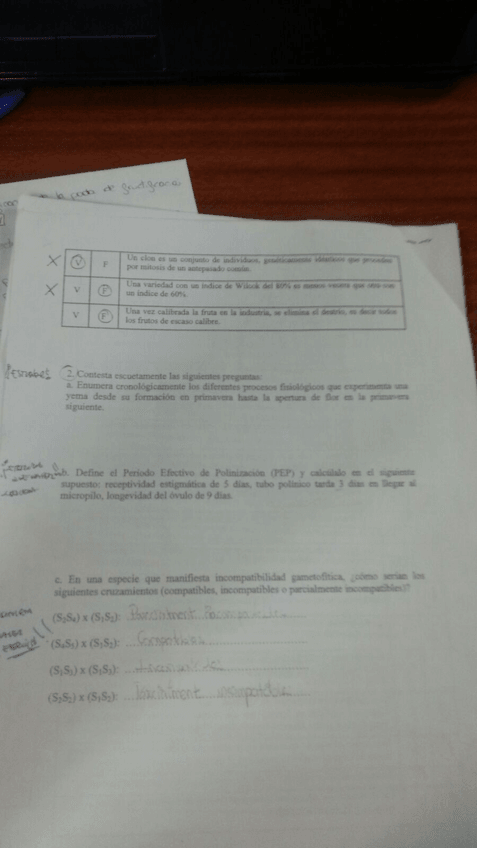 Miniatura del documento WhatsApp Image 2016-11-07 at 19.03.57.jpeg