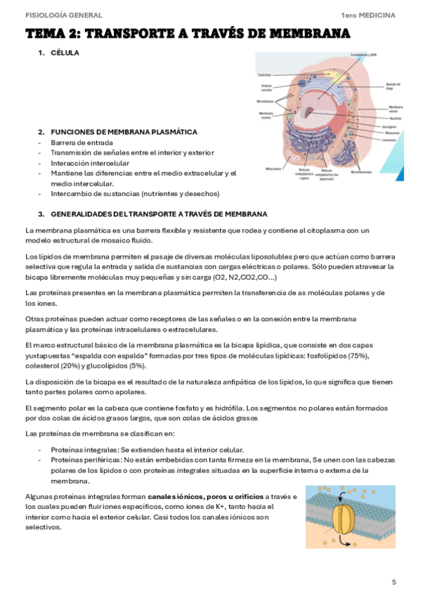 Miniatura del documento fsg-TEMA-2-Transporte-a-traves-de-membrana.pdf