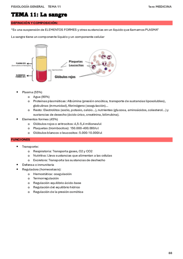 Miniatura del documento fsg-TEMA-11-La-sangre.pdf
