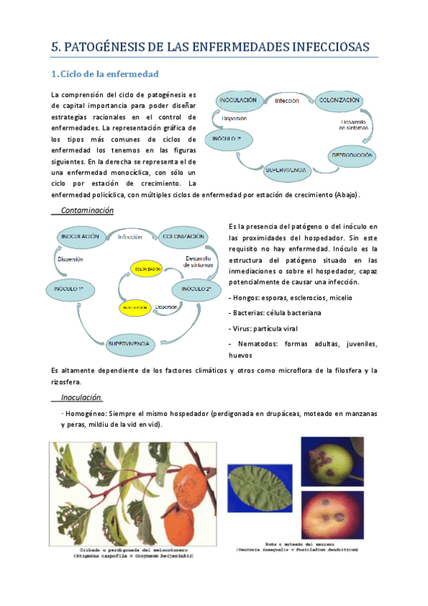 Miniatura del documento Tema 5.pdf