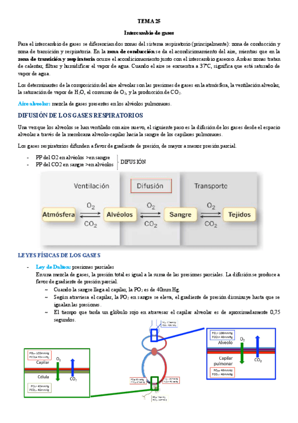 Miniatura del documento TEMA-25.-Difusion-de-gases.pdf