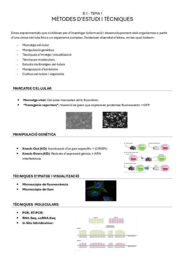Miniatura del documento B.1-tema1-METODES-DESTUDI-I-TECNIQUES.pdf