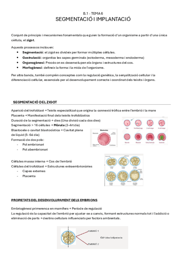 Miniatura del documento B.1-tema6-SEGMENTACIO-I-IMPLANTACIO.pdf