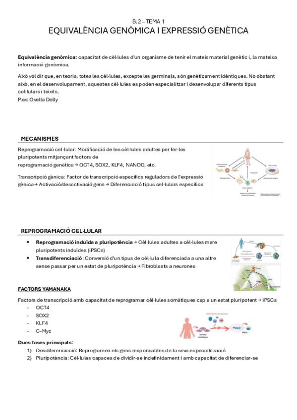 Miniatura del documento B.2-tema1-EQUIVALENCIA-GENOMICA-I-EXPRESSIO-GENETICA.pdf