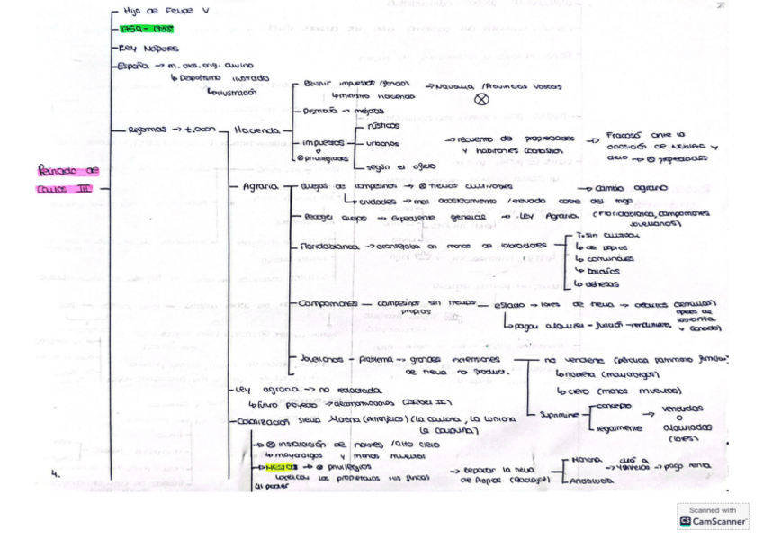 Miniatura del documento Reinado-de-Carlos-III.pdf