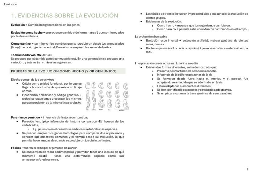 Miniatura del documento EVOLUCION-SECCION-I-Y-II.pdf