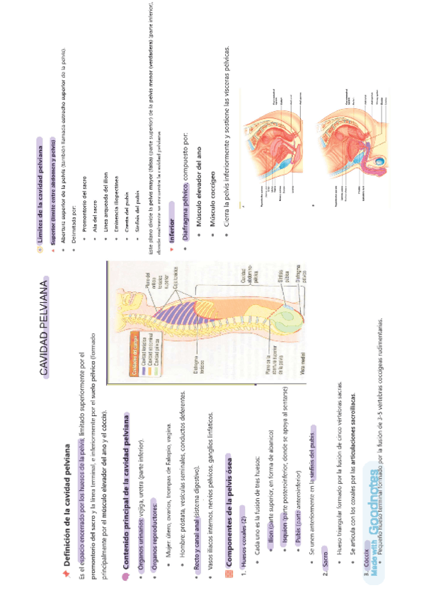 Miniatura del documento T19-20-.-AH.-ESQUEMAS.pdf