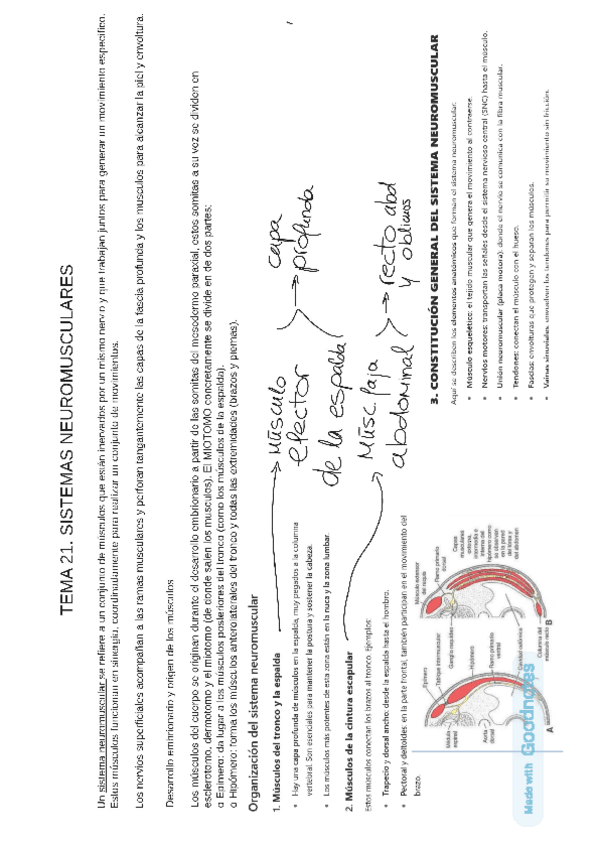 Miniatura del documento T21.-AH.-ESQUEMA.pdf