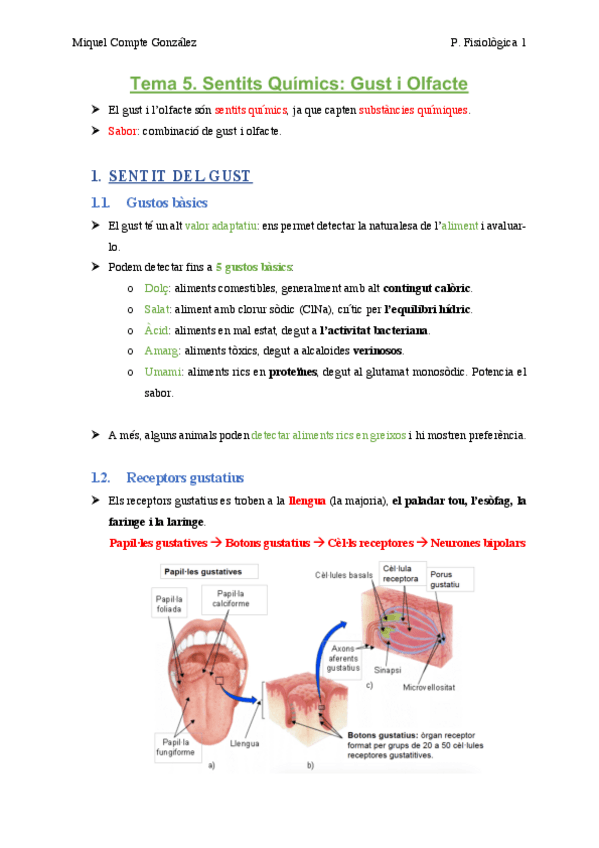 Miniatura del documento TEMA 5. Sentits Químics. Gust i Olfacte .pdf