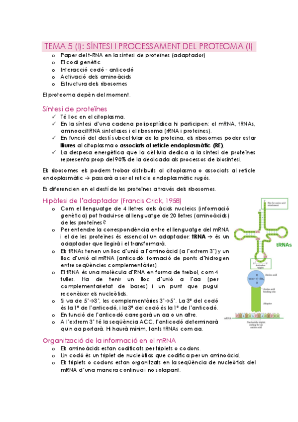 Miniatura del documento TEMA 5-6.pdf