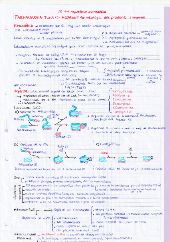 Miniatura del documento TEMA-10.1-hemostasia-secundaria-tractament-farmacologic-dels-problemes-sanguinis.pdf
