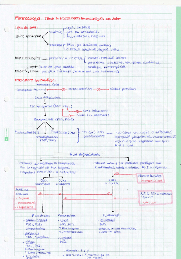 Miniatura del documento TRMA-7-tractaments-farmacologics-del-dolor.pdf