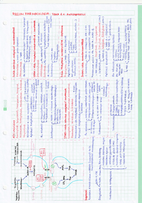 Miniatura del documento Resum-tema-6.1.pdf