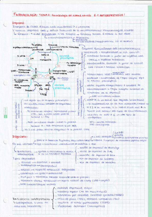 Miniatura del documento TEMA-6.1-antidepressius.pdf