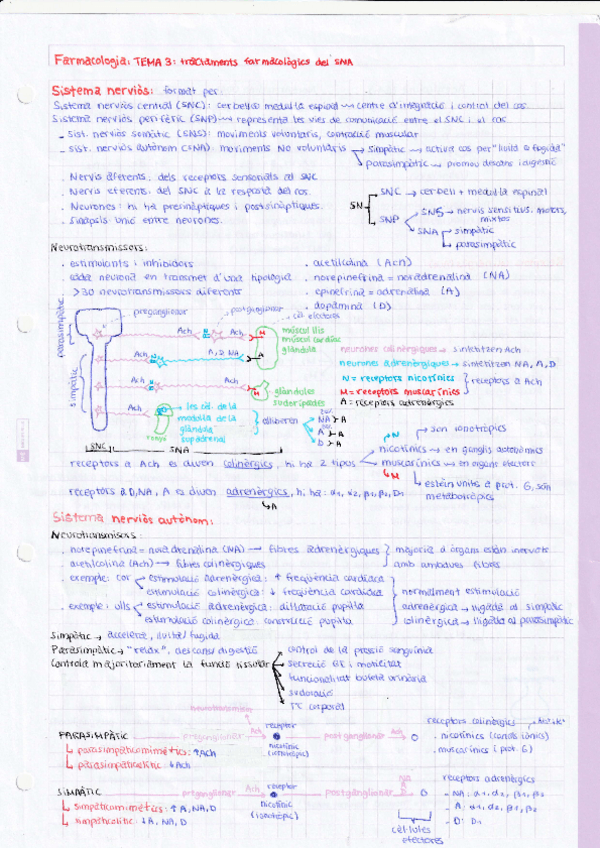 Miniatura del documento TEMA-3-tractament-farmacologic-del-SNA.pdf