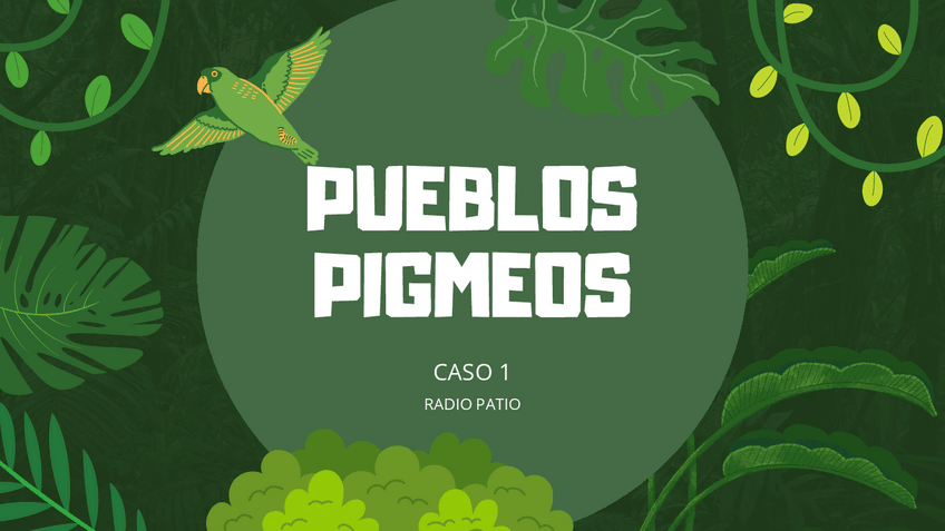 Miniatura del documento Caso-1RadioPatioPresentacion.pdf