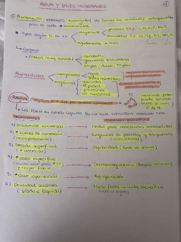 Miniatura del documento Resumenes-biologia.pdf