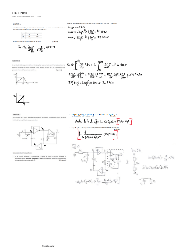 Miniatura del documento PORD-2020.pdf