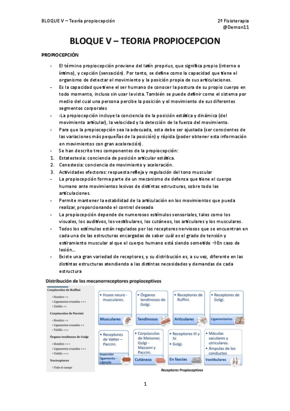 Miniatura del documento Bloque-V-Teoria-Propiocepcion.pdf