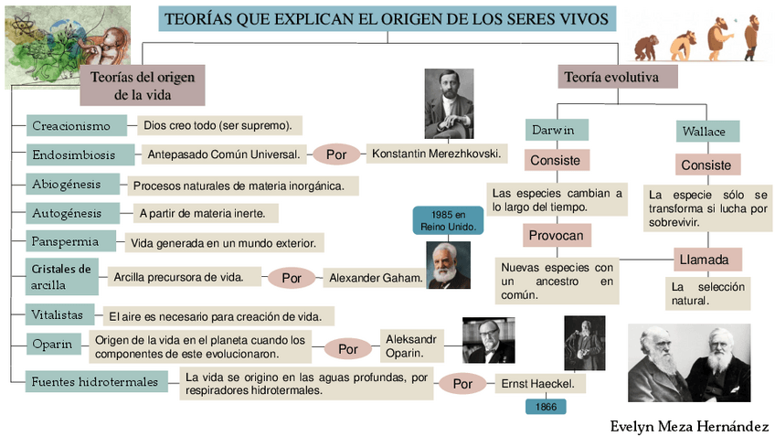 Miniatura del documento Origen-de-los-seres-vivos.pdf