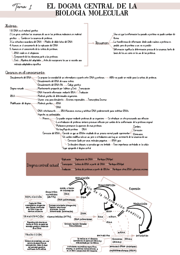 Miniatura del documento B.-Molecular-T1-4.pdf