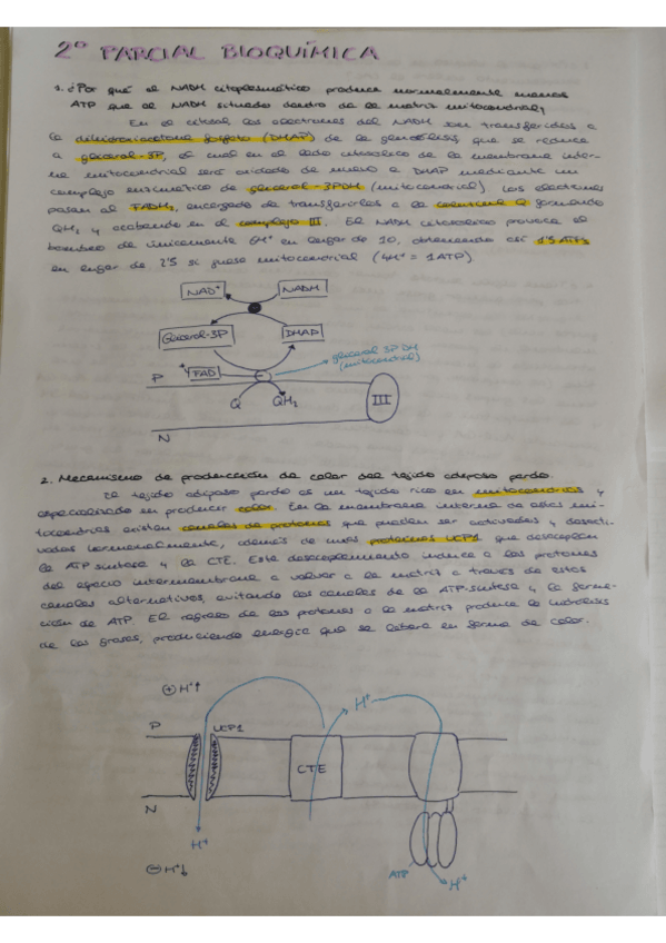 Miniatura del documento bioqq preguntas 2º.pdf